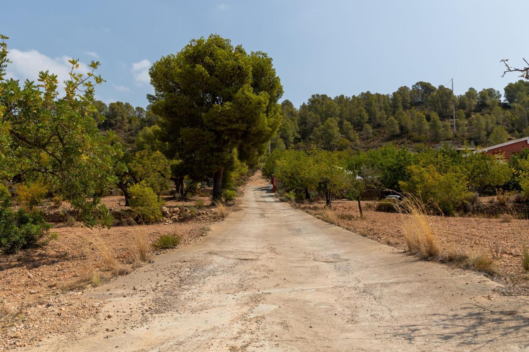 Finca El Escondite Olocau 外观 照片