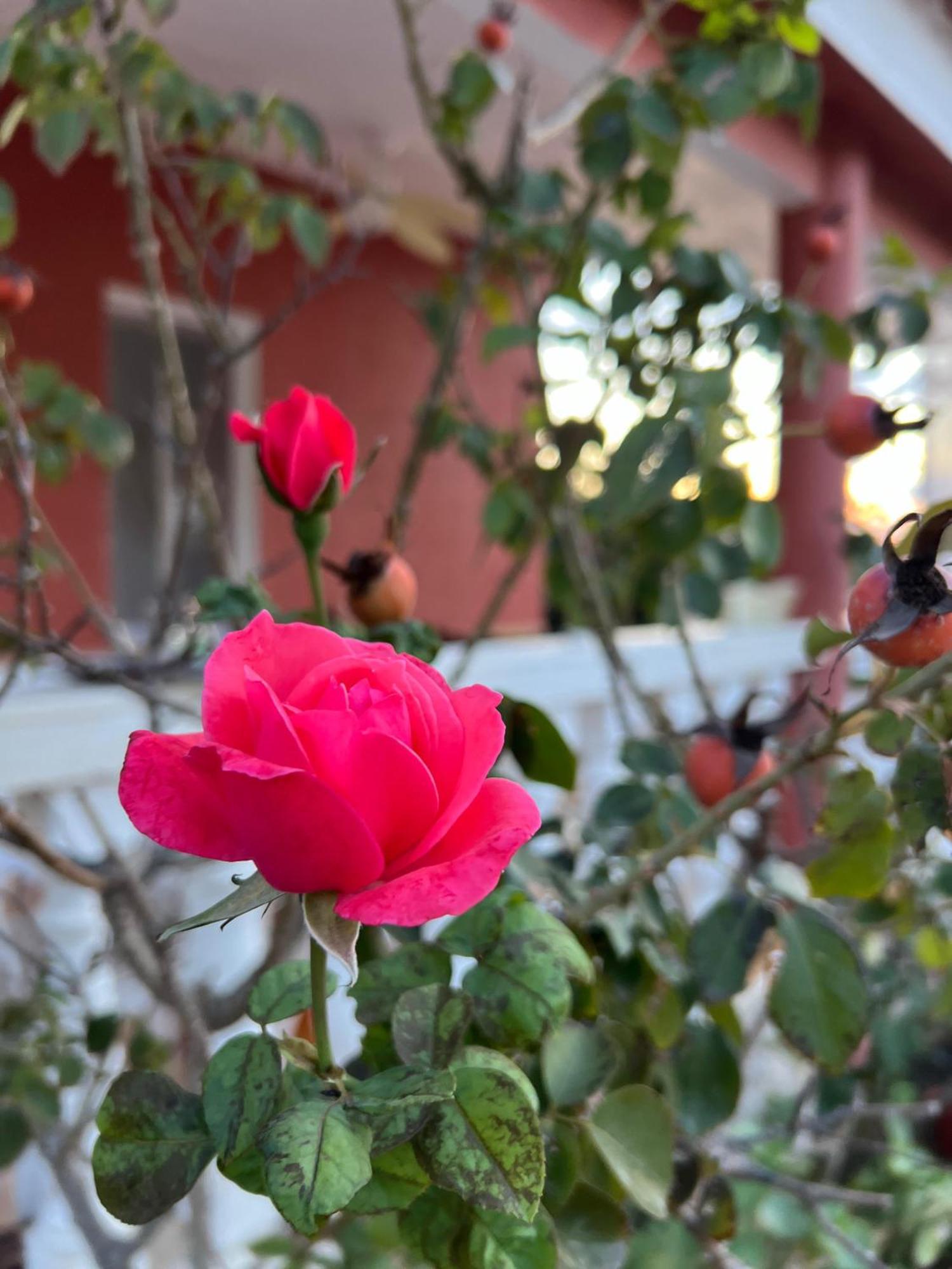 Finca El Escondite Olocau 外观 照片